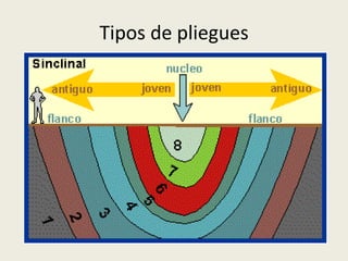 Tipos de pliegues

 