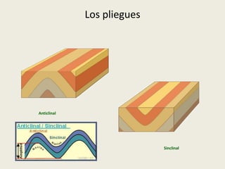 Los pliegues

Anticlinal

Sinclinal

 