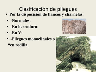 Clasificación de pliegues

• Por la disposición de flancos y charnelas.
• -Normales:
• -En herradura:
• -En V:
• -Pliegues monoclinales o
“en rodilla

 