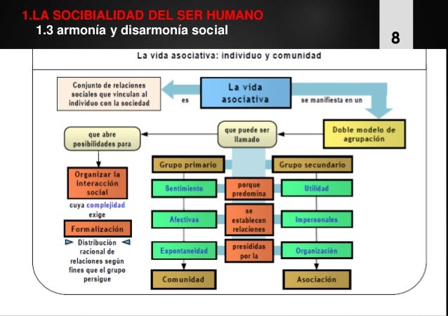 Tema 9 dimensión social del ser humano