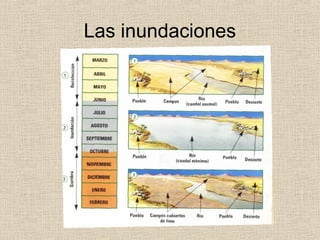 Las inundaciones
 