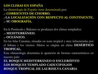LOS CLIMAS EN ESPAÑA   La  climatología de España viene determinada  por:  .-  CORRIENTES DE CHORRO .  .-LA  LOCALIZACIÓN CON RESPECTO AL CONTINENTE .  .- SU  OROGRAFÍA .  En la Península y Baleares se producen dos climas templados:  .- MEDITERRÁNEO.  .- OCEÁNICO.  En las Islas Canarias, situadas en zona tropical y muy infuenciadas por el Sahara y los vientos Alisios se origina un clima  DESÉRTICO TROPICAL.  Esta climatología determina la aparición de biomas característicos en nuestro país:  EL BOSQUE MEDITERRÁNEO O ESCLERÓFITO  LOS BOSQUES TEMPLADO CADUCIFOLIOS  BOSQUE TROPICAL DE LAURISILVA CANARIA  