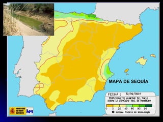 MAPA DE SEQUÍA 