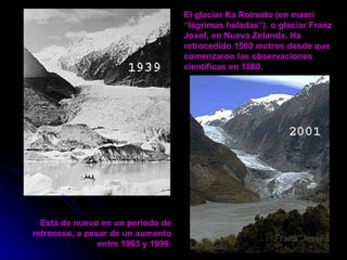 El glaciar Ka Roimato (en maorí “lágrimas heladas”), o glaciar Franz Josef, en Nueva Zelanda. Ha retrocedido 1500 metros d...