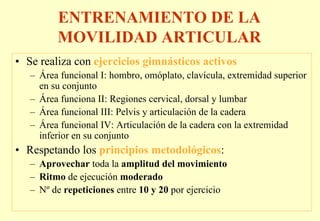 ENTRENAMIENTO DE LA
         MOVILIDAD ARTICULAR
• Se realiza con ejercicios gimnásticos activos
   – Área funcional I: hombro, omóplato, clavícula, extremidad superior
     en su conjunto
   – Área funciona II: Regiones cervical, dorsal y lumbar
   – Área funcional III: Pelvis y articulación de la cadera
   – Área funcional IV: Articulación de la cadera con la extremidad
     inferior en su conjunto
• Respetando los principios metodológicos:
   – Aprovechar toda la amplitud del movimiento
   – Ritmo de ejecución moderado
   – Nº de repeticiones entre 10 y 20 por ejercicio
 