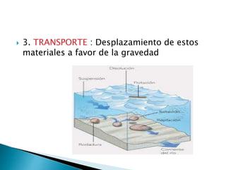  3. TRANSPORTE : Desplazamiento de estos
materiales a favor de la gravedad
 