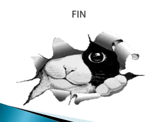 Tema 9  geo ext 4ºeso bueno