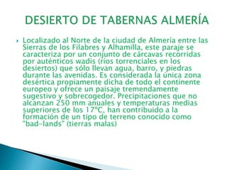  Localizado al Norte de la ciudad de Almería entre las
Sierras de los Filabres y Alhamilla, este paraje se
caracteriza por un conjunto de cárcavas recorridas
por auténticos wadis (ríos torrenciales en los
desiertos) que sólo llevan agua, barro, y piedras
durante las avenidas. Es considerada la única zona
desértica propiamente dicha de todo el continente
europeo y ofrece un paisaje tremendamente
sugestivo y sobrecogedor. Precipitaciones que no
alcanzan 250 mm anuales y temperaturas medias
superiores de los 17ºC, han contribuido a la
formación de un tipo de terreno conocido como
"bad-lands" (tierras malas)
 