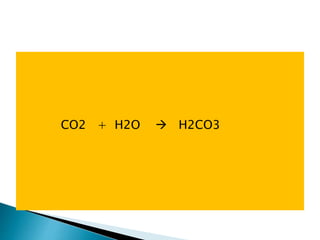 CO2 + H2O  H2CO3
 