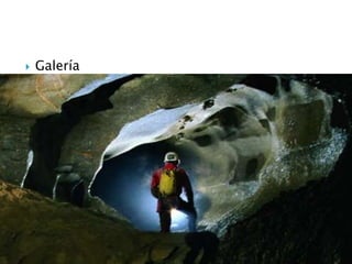  Galería
 