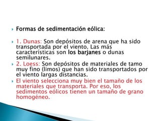  Formas de sedimentación eólica:
 1. Dunas: Son depósitos de arena que ha sido
transportada por el viento. Las más
características son los barjanes o dunas
semilunares.
 2. Loess: Son depósitos de materiales de tamo
muy fino (limos) que han sido transportados por
el viento largas distancias.
 El viento selecciona muy bien el tamaño de los
materiales que transporta. Por eso, los
sedimentos eólicos tienen un tamaño de grano
homogéneo.
 