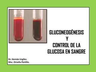 GLUCONEOGÉNESIS
Y
CONTROL DE LA
GLUCOSA EN SANGRE
Dr. Hernán Urgílez.
Msc. Ornella Portillo.
 