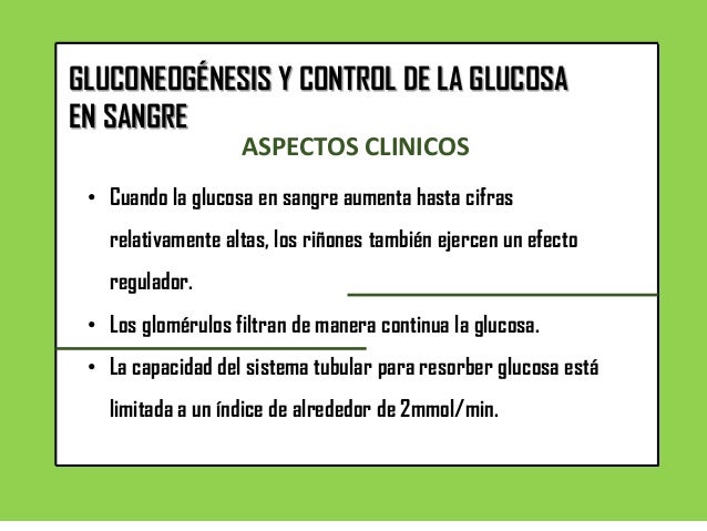 GLUCOGÉNESIS Y CONTROL DE LA GLUCOSA EN SANGRE GLUCOGÉNESIS Y CONTROL DE LA GLUCOSA EN SANGRE