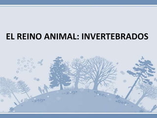 EL REINO ANIMAL: INVERTEBRADOS
 