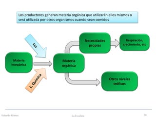 Eduardo Gómez La Ecosfera 26
Materia
inorgánica
Materia
orgánica
Necesidades
propias
Otros niveles
tróficos
Respiración,
crecimiento, etc
Los productores generan materia orgánica que utilizarán ellos mismos o
será utilizada por otros organismos cuando sean comidos
 