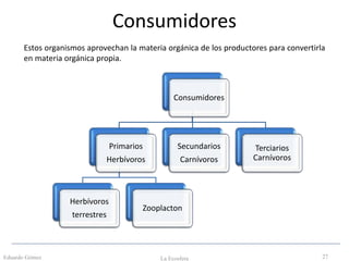 Consumidores
Eduardo Gómez La Ecosfera 27
Estos organismos aprovechan la materia orgánica de los productores para convertirla
en materia orgánica propia.
Consumidores
Primarios
Herbívoros
Herbívoros
terrestres
Zooplacton
Secundarios
Carnívoros
Terciarios
Carnívoros
 