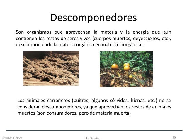 Tema 9 la ecosfera1