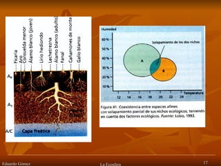Eduardo Gómez La Ecosfera 