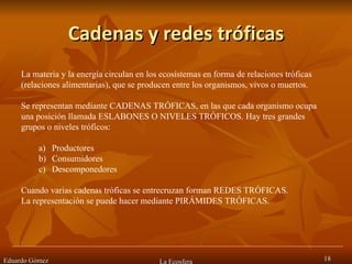 Cadenas y redes tróficas Eduardo Gómez La Ecosfera La materia y la energía circulan en los ecosistemas en forma de relaciones tróficas (relaciones alimentarias), que se producen entre los organismos, vivos o muertos.  Se representan mediante CADENAS TRÓFICAS, en las que cada organismo ocupa una posición llamada ESLABONES O NIVELES TRÓFICOS. Hay tres grandes grupos o niveles tróficos: Productores Consumidores Descomponedores Cuando varias cadenas tróficas se entrecruzan forman REDES TRÓFICAS.  La representación se puede hacer mediante PIRÁMIDES TRÓFICAS.  