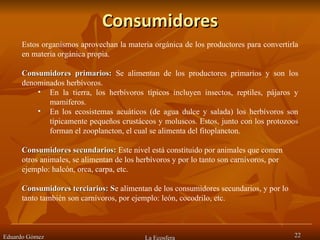 Consumidores Eduardo Gómez La Ecosfera Estos organismos aprovechan la materia orgánica de los productores para convertirla en materia orgánica propia.  Consumidores primarios:  Se alimentan de los productores primarios y son los denominados herbívoros.  En la tierra, los herbívoros típicos incluyen insectos, reptiles, pájaros y mamíferos.  En los ecosistemas acuáticos (de agua dulce y salada) los herbívoros son típicamente pequeños crustáceos y moluscos. Estos, junto con los protozoos forman el zooplancton, el cual se alimenta del fitoplancton.  Consumidores secundarios:  Este nivel está constituido por animales que comen otros animales, se alimentan de los herbívoros y por lo tanto son carnívoros, por ejemplo: halcón, orca, carpa, etc. Consumidores terciarios: S e alimentan de los consumidores secundarios, y por lo tanto también son carnívoros, por ejemplo: león, cocodrilo, etc. 