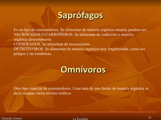 Saprófagos Eduardo Gómez La Ecosfera Es un tipo de consumidores. Se alimentan de materia orgánica muerta, pueden ser:  NECRÓFAGOS O CARROÑEROS. Se alimentan de cadáveres y materia orgánica descompuesta.  COPRÓFAGOS. Se alimentan de excrementos.  DETRITÍVOROS. Se alimentan de materia orgánica muy fragmentada, como los pólipos y las lombrices.  Omnívoros Otro tipo especial de consumidores. Usan más de una fuente de materia orgánica es decir ocupan varios niveles tróficos  