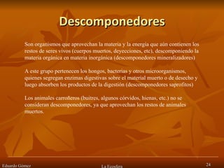 Descomponedores Eduardo Gómez La Ecosfera Son organismos que aprovechan la materia y la energía que aún contienen los restos de seres vivos (cuerpos muertos, deyecciones, etc), descomponiendo la materia orgánica en materia inorgánica (descomponedores mineralizadores) A este grupo pertenecen los hongos, bacterias y otros microorganismos, quienes segregan enzimas digestivas sobre el material muerto o de desecho y luego absorben los productos de la digestión (descomponedores saprofitos) Los animales carroñeros (buitres, algunos córvidos, hienas, etc.) no se consideran descomponedores, ya que aprovechan los restos de animales muertos. 