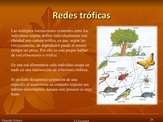 Redes tróficas Eduardo Gómez La Ecosfera Las múltiples interacciones existentes entre los individuos impide definir individualmente con claridad una cadena trófica, ya que, según las circunstancias, un depredador puede al mismo tiempo ser presa. Por ello es más propio hablar de  red alimentaria  o  trófica . En una red alimentaria cada individuo ocupa un nudo en una intersección de relaciones tróficas.  Si un nudo desaparece (extinción de una especie), el ecosistema en conjunto reajusta sus hábitos alimentarios, aunque este proceso es muy lento 