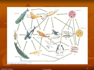 Eduardo Gómez La Ecosfera 