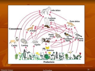 Eduardo Gómez La Ecosfera 