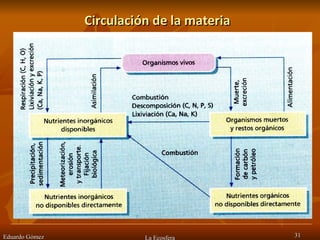Circulación de la materia Eduardo Gómez La Ecosfera 