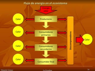 Flujo de energía en el ecosistema Eduardo Gómez La Ecosfera Energía solar Productores Consumidores primarios Consumidores secundarios Consumidor final Calor Calor Calor Calor Calor 