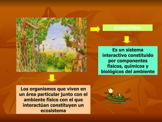 ECOSISTEMA Es un sistema interactivo constituido por componentes físicos, químicos y biológicos del ambiente Los organismos que viven en un área particular junto con el ambiente físico con el que interactúan constituyen un ecosistema 