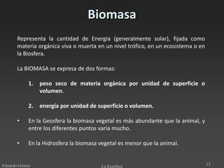 Biomasa
      Representa la cantidad de Energía (generalmente solar), fijada como
      materia orgánica viva o muerta en un nivel trófico, en un ecosistema o en
      la Biosfera.

      La BIOMASA se expresa de dos formas:

            1.   peso seco de materia orgánica por unidad de superficie o
                 volumen.

            2.   energía por unidad de superficie o volumen.

      •     En la Geosfera la biomasa vegetal es más abundante que la animal, y
            entre los diferentes puntos varía mucho.

      •     En la Hidrosfera la biomasa vegetal es menor que la animal.


Eduardo Gómez                           La Ecosfera                               12
 