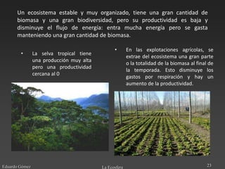 Un ecosistema estable y muy organizado, tiene una gran cantidad de
      biomasa y una gran biodiversidad, pero su productividad es baja y
      disminuye el flujo de energía: entra mucha energía pero se gasta
      manteniendo una gran cantidad de biomasa.

                                                •       En las explotaciones agrícolas, se
        •       La selva tropical tiene
                                                        extrae del ecosistema una gran parte
                una producción muy alta
                                                        o la totalidad de la biomasa al final de
                pero una productividad
                                                        la temporada. Esto disminuye los
                cercana al 0
                                                        gastos por respiración y hay un
                                                        aumento de la productividad.




Eduardo Gómez                             La Ecosfera                                        23
 