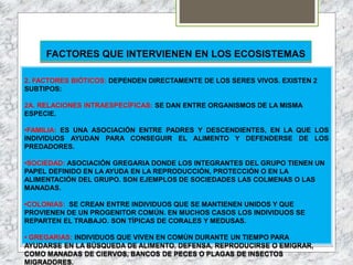 FACTORES QUE INTERVIENEN EN LOS ECOSISTEMAS
2. FACTORES BIÓTICOS: DEPENDEN DIRECTAMENTE DE LOS SERES VIVOS. EXISTEN 2
SUBTIPOS:
2A. RELACIONES INTRAESPECÍFICAS: SE DAN ENTRE ORGANISMOS DE LA MISMA
ESPECIE.
•FAMILIA: ES UNA ASOCIACIÓN ENTRE PADRES Y DESCENDIENTES, EN LA QUE LOS
INDIVIDUOS AYUDAN PARA CONSEGUIR EL ALIMENTO Y DEFENDERSE DE LOS
PREDADORES.
•SOCIEDAD: ASOCIACIÓN GREGARIA DONDE LOS INTEGRANTES DEL GRUPO TIENEN UN
PAPEL DEFINIDO EN LA AYUDA EN LA REPRODUCCIÓN, PROTECCIÓN O EN LA
ALIMENTACIÓN DEL GRUPO. SON EJEMPLOS DE SOCIEDADES LAS COLMENAS O LAS
MANADAS.
•COLONIAS: SE CREAN ENTRE INDIVIDUOS QUE SE MANTIENEN UNIDOS Y QUE
PROVIENEN DE UN PROGENITOR COMÚN. EN MUCHOS CASOS LOS INDIVIDUOS SE
REPARTEN EL TRABAJO. SON TÍPICAS DE CORALES Y MEDUSAS.
• GREGARIAS: INDIVIDUOS QUE VIVEN EN COMÚN DURANTE UN TIEMPO PARA
AYUDARSE EN LA BÚSQUEDA DE ALIMENTO, DEFENSA, REPRODUCIRSE O EMIGRAR,
COMO MANADAS DE CIERVOS, BANCOS DE PECES O PLAGAS DE INSECTOS
MIGRADORES.
 