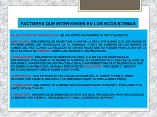 FACTORES QUE INTERVIENEN EN LOS ECOSISTEMAS
2B. RELACIONES INTERESPECÍFICAS: SE DAN ENTRE ORGANISMOS DE DISTINTA ESPECIE.
•MUTUALISMO: DOS ESPECIES SE BENEFICIAN LA UNA DE LA OTRA. POR EJEMPLO: EL PEZ PAYASO SE
PROTEGE ENTRE LOS TENTÁCULOS DE LA ANÉMONA, Y ESTA SE ALIMENTA DE LOS RESTOS DE
COMIDA DEL PEZ. CUANDO LA RELACIÓN ES TAN ESTRECHA QUE NO PUEDEN VIVIR LA UNA SIN LA
OTRA SE HABLA DE SIMBIOSIS, COMO LOS LÍQUENES Y LAS MICORRIZAS.
•COMENSALISMO: UNA ESPECIE SE BENEFICIA DE OTRA, QUE NO SALE NI BENEFICIADA NI
PERJUDICADA. POR EJEMPLO: UN BUITRE SE ALIMENTA DE LOS RESTOS DE LA CAZA DE UN LEÓN. EN
OCASIONES, UNA ESPECIE ENCUENTRA COBIJO EN ALGUNA ESTRUCTURA DE OTRA ESPECIE AL QUE
NO BENEFICIA NI PERJUDICA, SE HABLA ENTONCES DE INQUILINISMO. POR EJEMPLO, MUCHOS
MICROORGANISMOS HABITAN SOBRE NUESTRA PIEL.
•COMPETENCIA: DOS ESPECIES SE PERJUDICAN MUTUAMENTE, AL COMPETIR POR EL MISMO
RECURSO. POR EJEMPLO UNA HIENA Y UN GUEPARDO COMPITEN POR LA MISMA PRESA.
• DEPREDACIÓN: UNA ESPECIE SE ALIMENTA DE OTRA PROVOCANDO SU MUERTE. POR EJEMPLO: EL
LINCE CAZA UN CONEJO.
• PARASITISMO: UNA ESPECIE SE BENEFICIA DE OTRA QUE SALE PERJUDICADA, PERO SIN CAUSARLE
LA MUERTE. POR EJEMPLO: UNA GARRAPATA TOMA LA SANGRE DE UN PERRO.
 