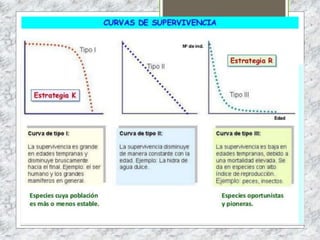 Tema 4 LOS ECOSISTEMAS
