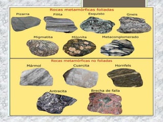 EJERCICIOS DE CONSOLIDACIÓN S2
1. ¿CUÁLES SON LOS PRINCIPALES FACTORES ABIÓTICOS QUE
INFLUYEN EN LOS ECOSISTEMAS TERRESTRES?
2. ¿CUÁLES SON LOS PRINCIPALES FACTORES ABIÓTICOS QUE
INFLUYEN EN LOS ECOSISTEMAS ACUÁTICOS?
3. PON DOS EJEMPLOS DE ADAPTACIONES DE ANIMALES O PLANTAS
A LA LUZ Y A LA TEMPERATURA.
4. EXPLICA LOS TÉRMINOS ESTENOHALINO Y EURIHALINO PON
EJEMPLOS DE ANIMALES DE AMBOS TIPOS.
5. PON DOS ADAPTACIONES DE ANIMALES O PLANTAS ACUÁTICOS A
LA DENSIDAD.
 