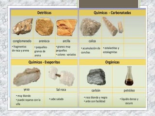FACTORES BIÓTICOS QUE INTERVIENEN EN LOS
ECOSISTEMAS
2. FACTORES BIÓTICOS: DEPENDEN DIRECTAMENTE DE LOS SERES VIVOS. EXISTEN 2
SUBTIPOS:
2A. RELACIONES INTRAESPECÍFICAS: SE DAN ENTRE ORGANISMOS DE LA MISMA
ESPECIE.
•FAMILIA: ES UNA ASOCIACIÓN ENTRE PADRES Y DESCENDIENTES, EN LA QUE LOS
INDIVIDUOS AYUDAN PARA CONSEGUIR EL ALIMENTO Y DEFENDERSE DE LOS
PREDADORES.
•SOCIEDAD: ASOCIACIÓN GREGARIA DONDE LOS INTEGRANTES DEL GRUPO TIENEN UN
PAPEL DEFINIDO EN LA AYUDA EN LA REPRODUCCIÓN, PROTECCIÓN O EN LA
ALIMENTACIÓN DEL GRUPO. SON EJEMPLOS DE SOCIEDADES LAS COLMENAS O LOS
HORMIGUEROS.
•COLONIAS: SE CREAN ENTRE INDIVIDUOS QUE SE MANTIENEN UNIDOS Y QUE
PROVIENEN DE UN PROGENITOR COMÚN. EN MUCHOS CASOS LOS INDIVIDUOS SE
REPARTEN EL TRABAJO. SON TÍPICAS DE CORALES Y MEDUSAS.
 