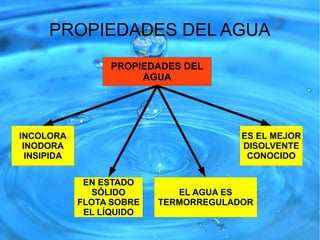 Tema 9 la hidrosfera | ODP