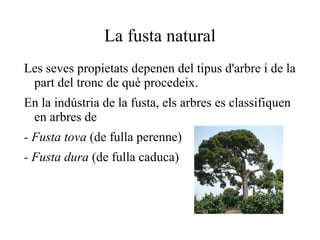Processos de conformació  dels polímers Extrusió 