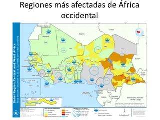 Regiones más afectadas de África
occidental
 