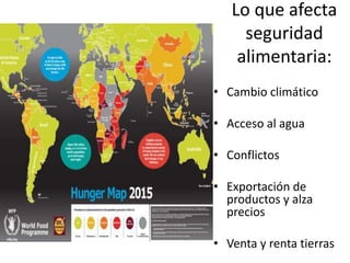 Lo que afecta
seguridad
alimentaria:
• Cambio climático
• Acceso al agua
• Conflictos
• Exportación de
productos y alza
precios
• Venta y renta tierras
 