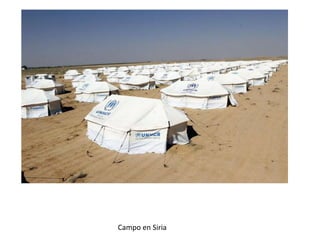 Campo en Siria
 