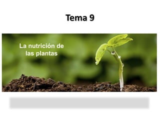 Tema 9

La nutrición de
  las plantas
 