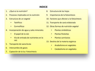 INDICE
1. ¿Qué es la nutrición?                      8. Estructura de las hojas
2. Procesos implicados en la nutrición        9. Importancia de la fotosíntesis
3. Estructura de un vegetal                   10. Factores que afectan a la fotosíntesis
     •   Talofítico                           11. Transporte de savia elaborada
     •   Cormofítico                          12. Otras formas de nutrición vegetal
4. Incorporación de agua y sales minerales         •   Plantas simbióticas
     •   El papel de la raíz                       •   Plantas Parásitas
     •   Vía de entrada de nutrientes en la        •   Plantas carnívoras
         raíz
                                              13. Destino de la materia orgánica
5. Transporte de savia bruta
                                                   •   Anabolismo en vegetales
6. Intercambio de gases
                                                   •   Catabolismo en vegetales
7. Captación de la luz: Fotosíntesis
 