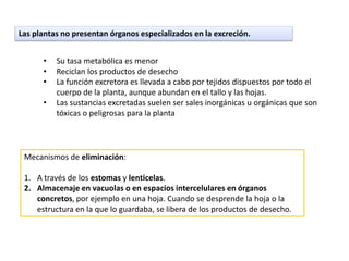 Las plantas no presentan órganos especializados en la excreción.


      •   Su tasa metabólica es menor
      •   Reciclan los productos de desecho
      •   La función excretora es llevada a cabo por tejidos dispuestos por todo el
          cuerpo de la planta, aunque abundan en el tallo y las hojas.
      •   Las sustancias excretadas suelen ser sales inorgánicas u orgánicas que son
          tóxicas o peligrosas para la planta




 Mecanismos de eliminación:

 1. A través de los estomas y lenticelas.
 2. Almacenaje en vacuolas o en espacios intercelulares en órganos
    concretos, por ejemplo en una hoja. Cuando se desprende la hoja o la
    estructura en la que lo guardaba, se libera de los productos de desecho.
 