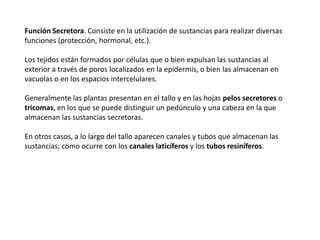 Función Secretora. Consiste en la utilización de sustancias para realizar diversas
funciones (protección, hormonal, etc.).

Los tejidos están formados por células que o bien expulsan las sustancias al
exterior a través de poros localizados en la epidermis, o bien las almacenan en
vacuolas o en los espacios intercelulares.

Generalmente las plantas presentan en el tallo y en las hojas pelos secretores o
tricomas, en los que se puede distinguir un pedúnculo y una cabeza en la que
almacenan las sustancias secretoras.

En otros casos, a lo largo del tallo aparecen canales y tubos que almacenan las
sustancias; como ocurre con los canales laticíferos y los tubos resiníferos.
 