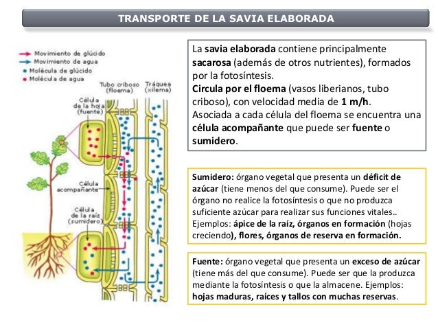 acompañantes maduras carga acompañantes maduras carga