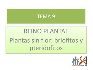 TEMA 9 REINO PLANTAE Plantas sin flor: briofitos y pteridofitos 